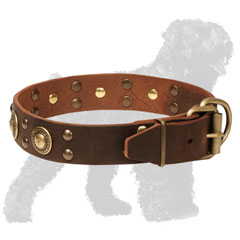 Walking Leather Russian Terrier Collar with Studs and Conchos and Strong Buckle