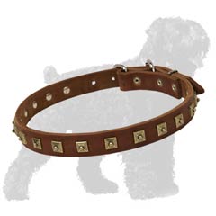 Protects your Russian Terrier