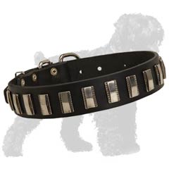 Russian Terrier Collar of an Elegant Design