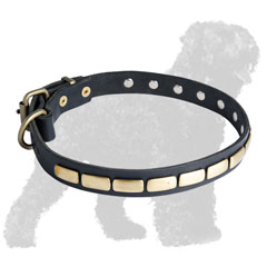 Training Leather Russian Terrier Collar with Brass Plates