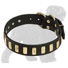 Walking Leather Russian Terrier Collar with Vertical Brass Plates