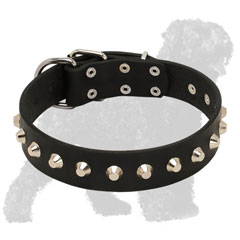 Walking Studded Leather Russian Terrier Collar