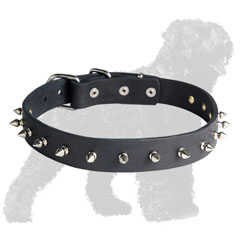 Spiked Leather Black Russian Terrier Collar for Handling