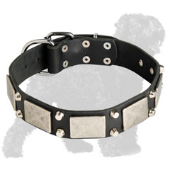 Walking Studded and Plated Leather Russian Terrier Collar