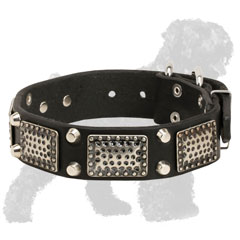 Walking Nickel Studded and Plated Leather Russian Terrier Collar