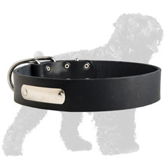 Training Leather Russian Terrier Collar with ID Tag