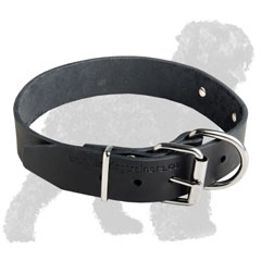 Walking Leather Russian Terrier Collar with Buckle