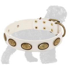 White Walking Leather Russian Terrier Collar with Brass Oval Plates
