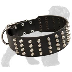 Walking Wide Studded Leather Black Russian Terrier Collar