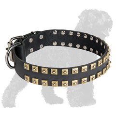 Wide Training Leather Russian Terrier Collar