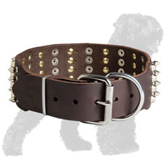 Wide Leather Black Russian Terrier Collar with Reliable Fittings