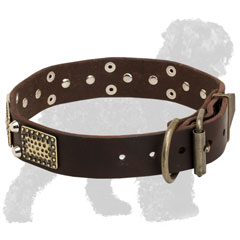 Studded and Plated Walking Leather Russian Terrier Collar with Brass Buckle