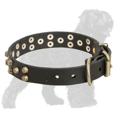 Adjustable Training Leather Russian Terrier Collar with Brass Fittings