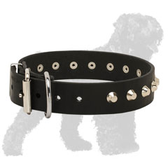 Adjustable Training Leather Russian Terrier Collar with Nickel Fittings