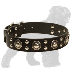 Decorated Leather Russian Terrier Collar with Studs and Conchos