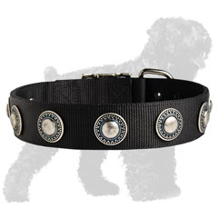 Walking Nylon Collar for Russian Terrier with Conchos