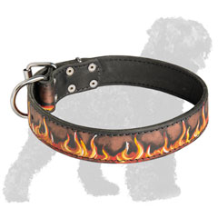 Water Resistant Leather Collar