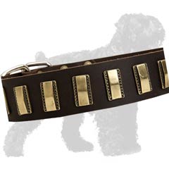 Leather Collar with Brass Plates
