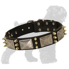 Fascinating Leather Dog Collar