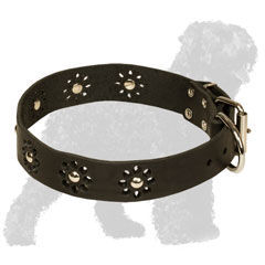 Flower Studded Leather Black Russian Terrier Collar