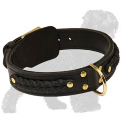 Extra Strong and Durable Collar