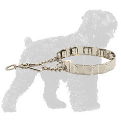 Stainless Steel Prong Russian Terrier Collar for Behavior Correction
