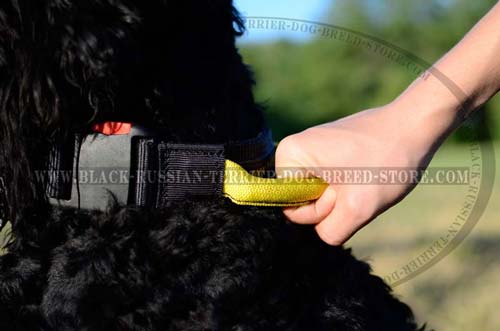 Quick release buckle for your Black Russian Terrier
