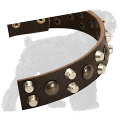 Nickel Plated Pyramids and Brass Plated Studs on Leather Russian Terrier Collar