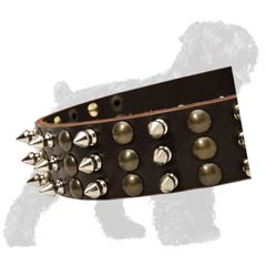 Nickel Plated Spikes and Brass Plated Studs on Training Leather Russian Terrier Collar
