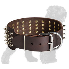 Spiked Walking Leather Russian Terrier Collar with Buckle