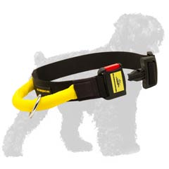 Great collar with quick release buckle for Black Russian Terrier