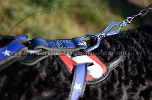 Best quality leather Black Russian Terrier harness
