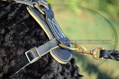 Exclusive Studded Leather Harness