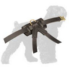 Excusivly Designed Russian Terrier Leather Harness