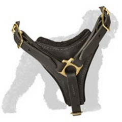 Comfortable and Safe Training Leather Harness