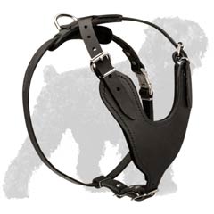 Increased Durability Leather Harness