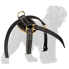 Dazzling Authentic Leather Dog Harness