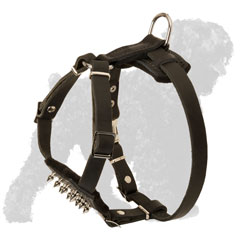 Daily Stylish Walking Small Spiked Leather Russian Terrier Puppy  Harness