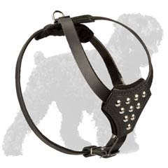 Studded Training Strong Leather Russian Terrier Harness