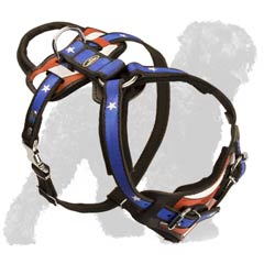 Easy adjustable Black Russian Terrier harness