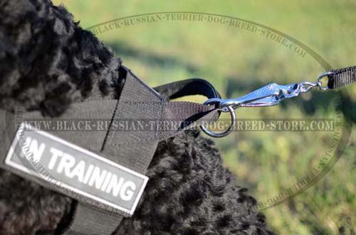 Fittings on Adjustable Tracking Nylon Russian Terrier Harness