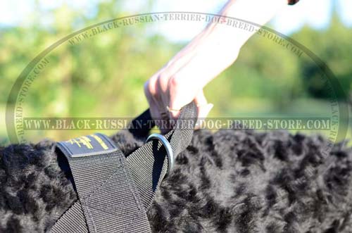 Handle on Fashion Nylon Russian Terrier Harness
