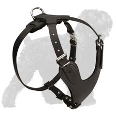 Easy Wearing Leather Harness