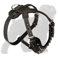 Extraordinary Leather Dog Harness
