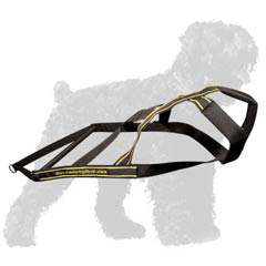 Reliable Nylon Black Russian Terrier Harness