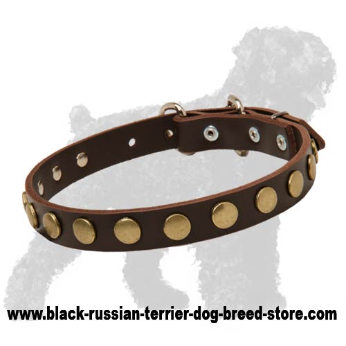 Russian best sale dog collar