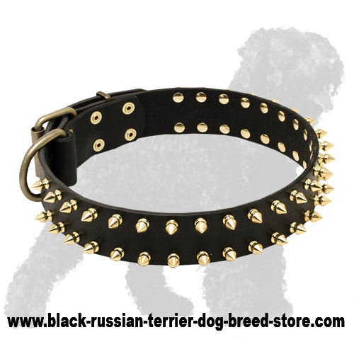 Russian store dog collar