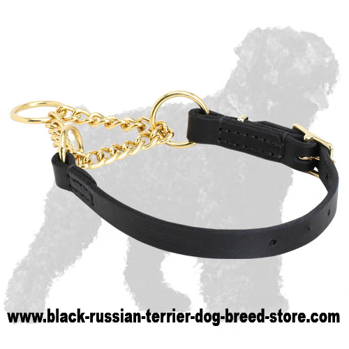 dog collar chain and leather