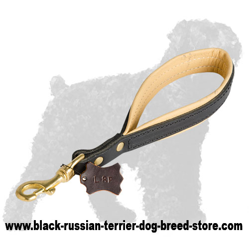 Pull tab hot sale dog leash