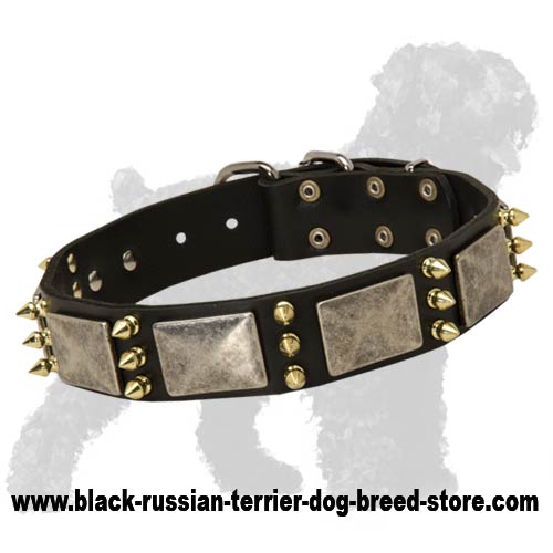 Russian dog hot sale collar